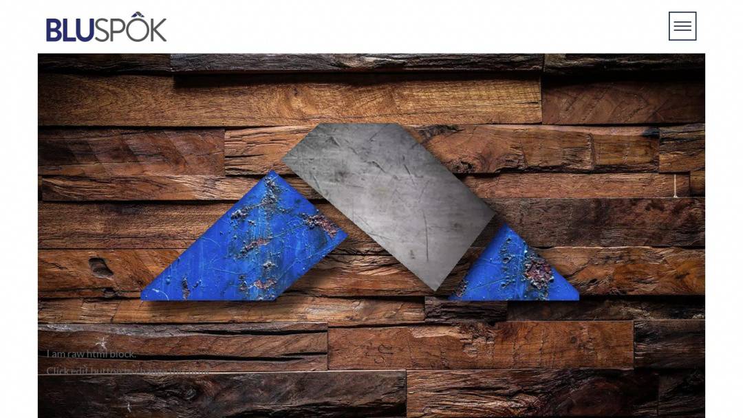 Screenshot of Bluspok's Website