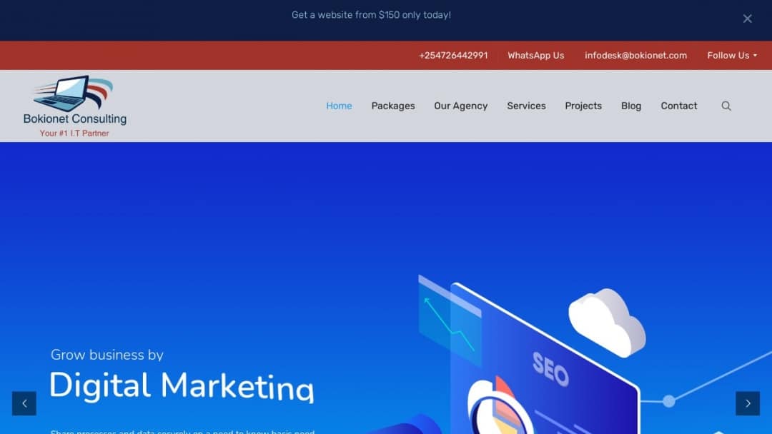 Screenshot of Bokionet Consulting's Website