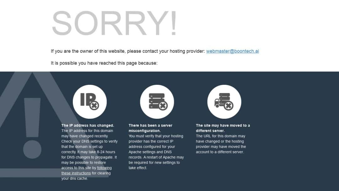 Screenshot of Boon InfoTech's Website