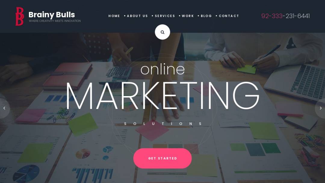 Screenshot of Brainy Bulls's Website