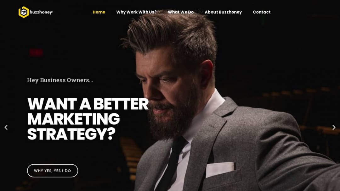 Screenshot of Buzzhoney's Website