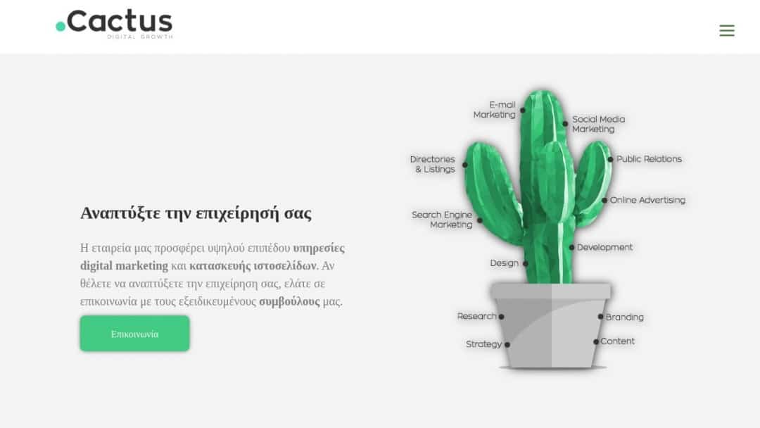 Screenshot of Cactus's Website