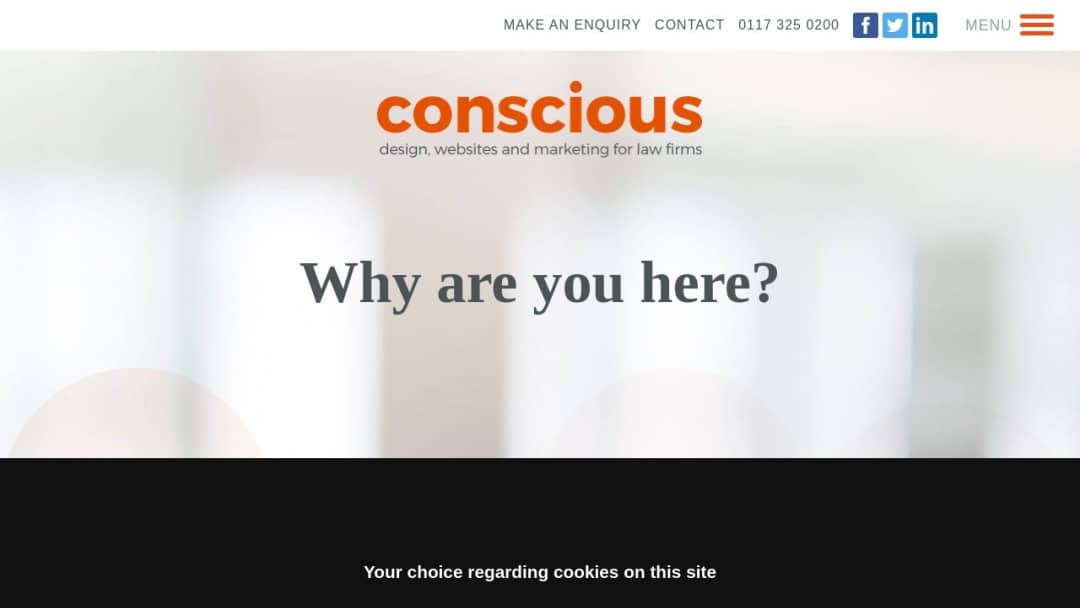 Screenshot of Conscious Solutions Ltd's Website