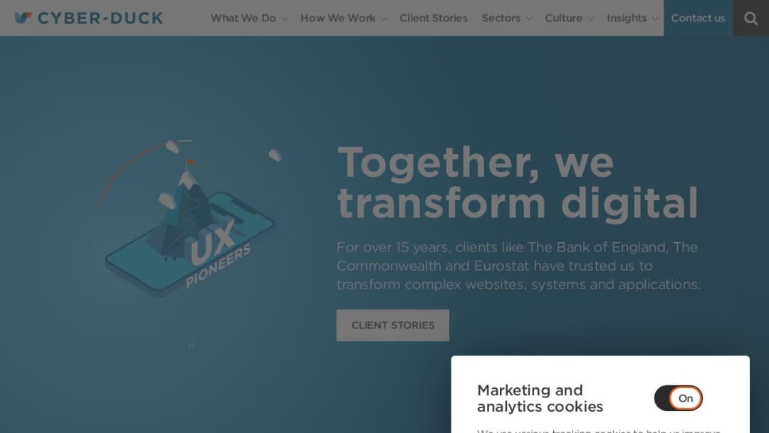 Screenshot of Cyber-Duck's Website