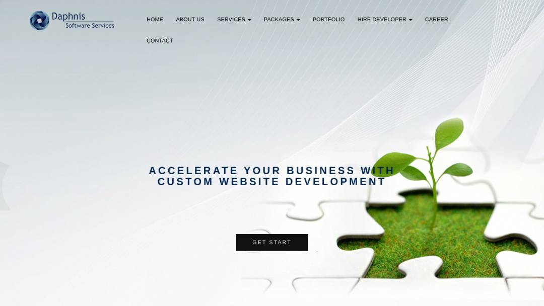 Screenshot of Daphnis Software Services pvt.Ltd.'s Website