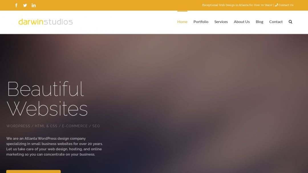 Screenshot of Darwin Studios, LLC's Website