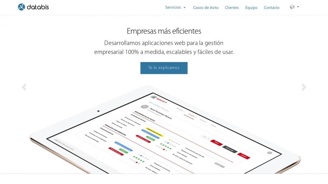Screenshot of Databis's Website
