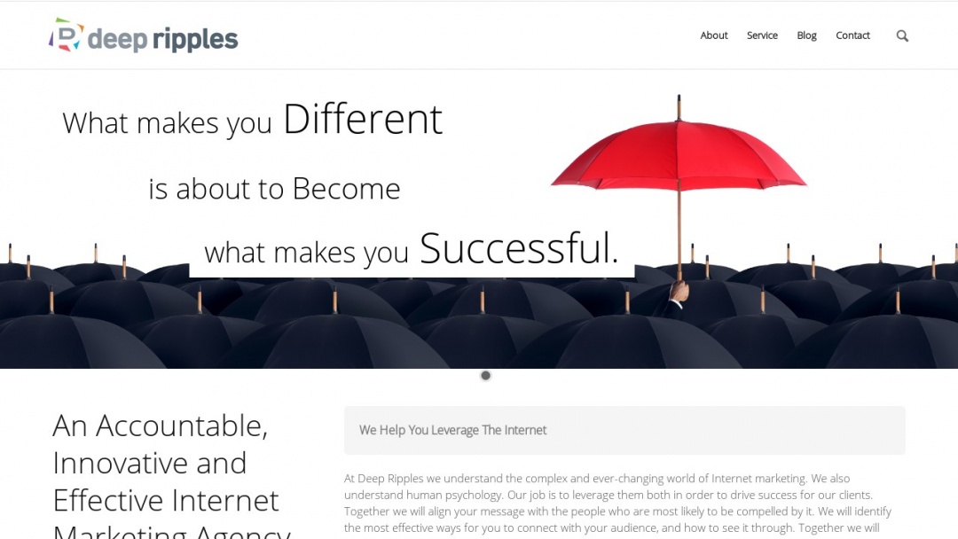 Screenshot of Deep Ripples Inc's Website