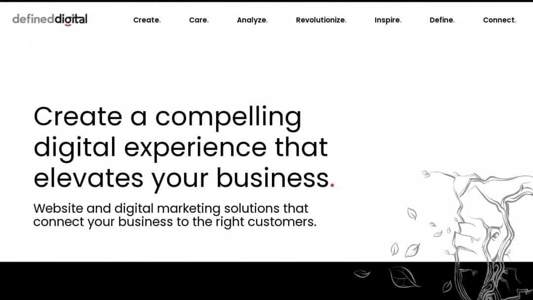 Screenshot of Defined Digital Marketing's Website
