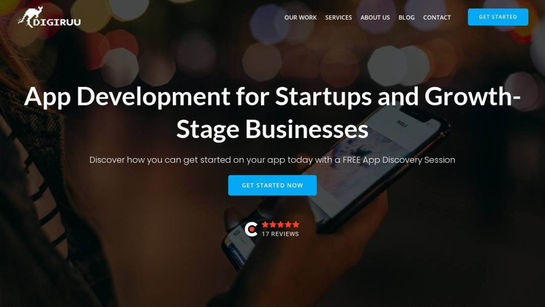 Screenshot of Digiruu's Website