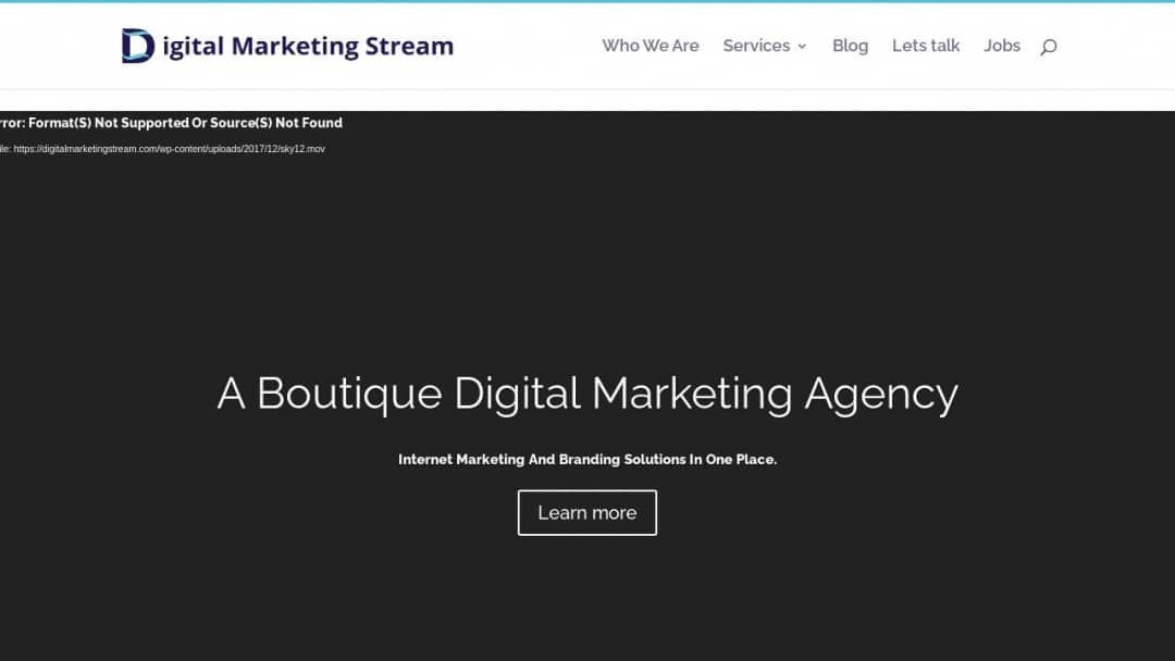 Screenshot of Digital Marketing Stream's Website
