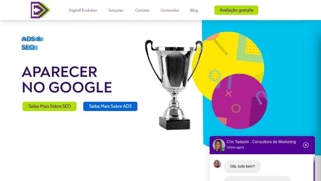 Screenshot of Digitall Evolution's Website