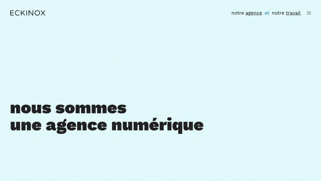 Screenshot of Eckinox's Website