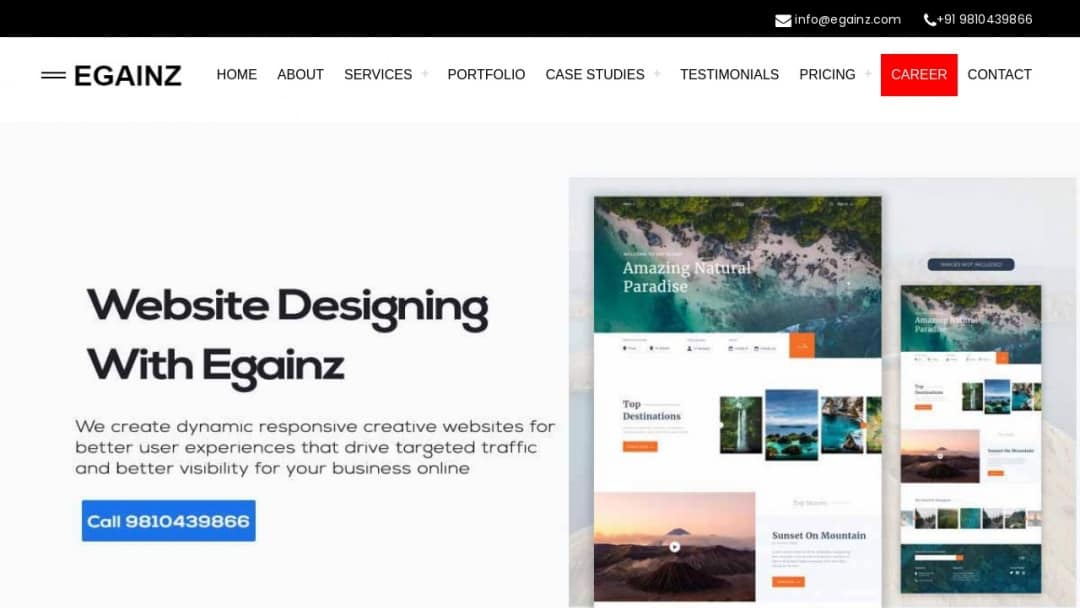 Screenshot of Egainz's Website