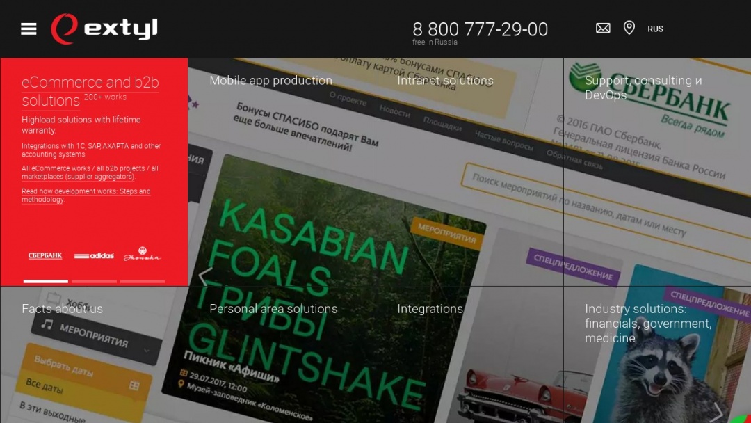 Screenshot of Extyl's Website