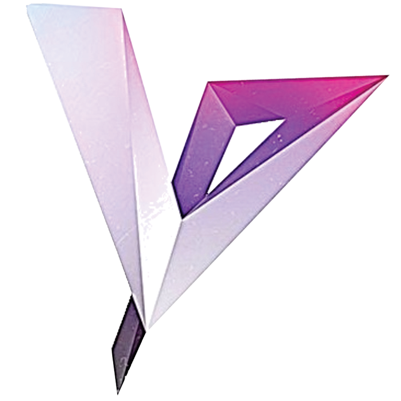 Viztechie - Award Winning Agency in Noida