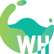 Who-eb - Award Winning Agency in Saint-Nicolas