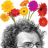 Words and Pictures Design Services - Award Winning Agency in Halifax