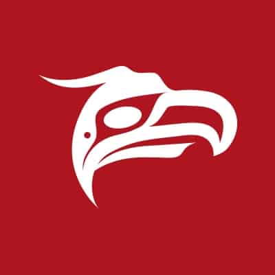 Animikii Indigenous Technology. - Award Winning Agency in Victoria