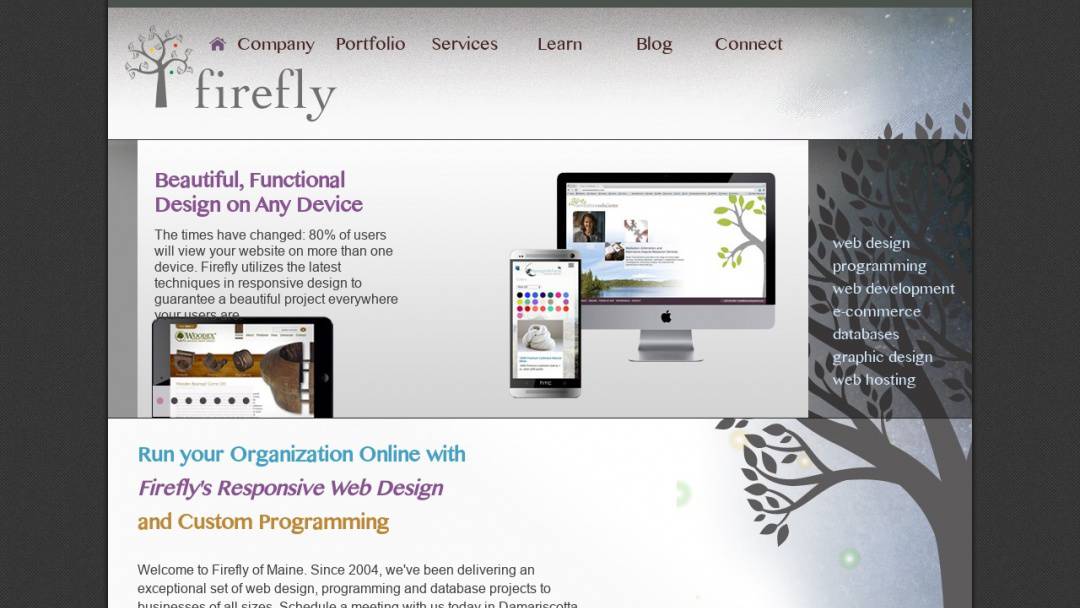 Screenshot of Firefly, LLC - Maine's Website