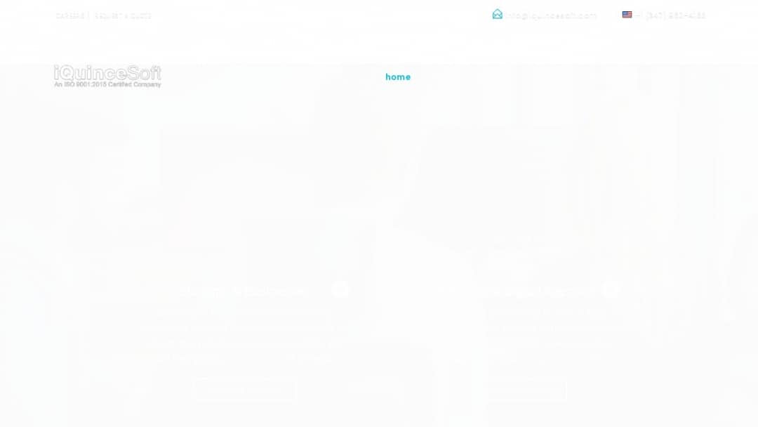 Screenshot of iQuinceSoft Consulting Services Pvt. Ltd.'s Website