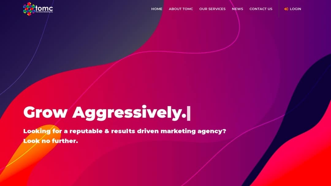 Screenshot of The Online Marketing Co's Website