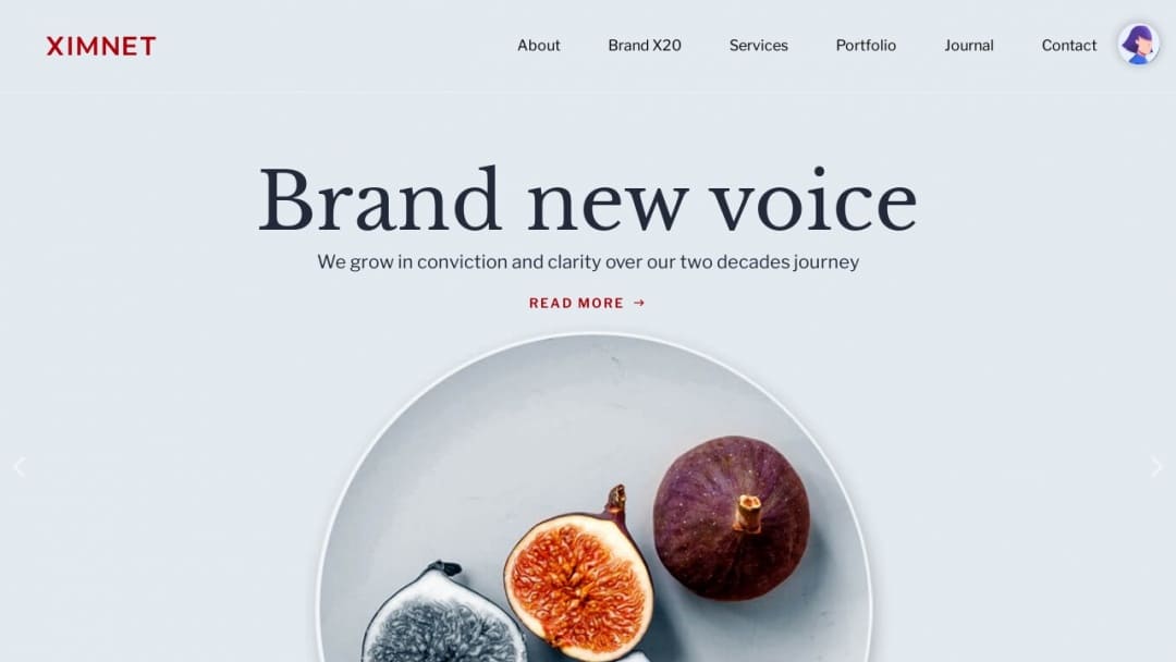 Screenshot of XiMnet Malaysia Sdn Bhd's Website