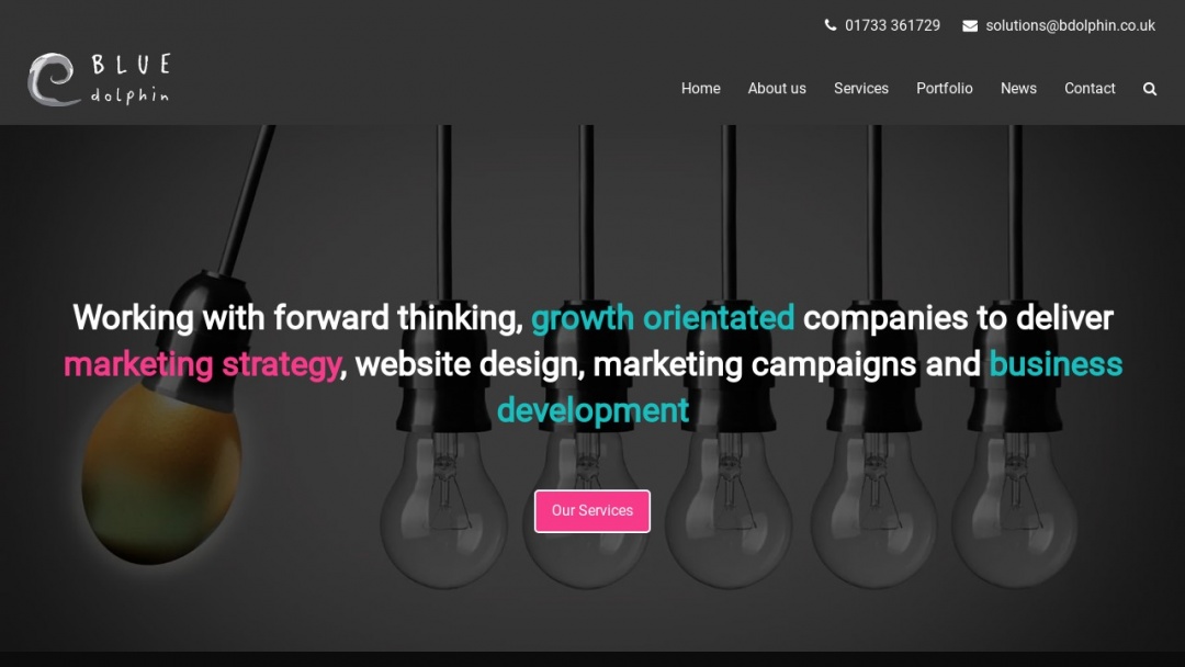 Screenshot of Blue Dolphin Business Development Ltd's Website