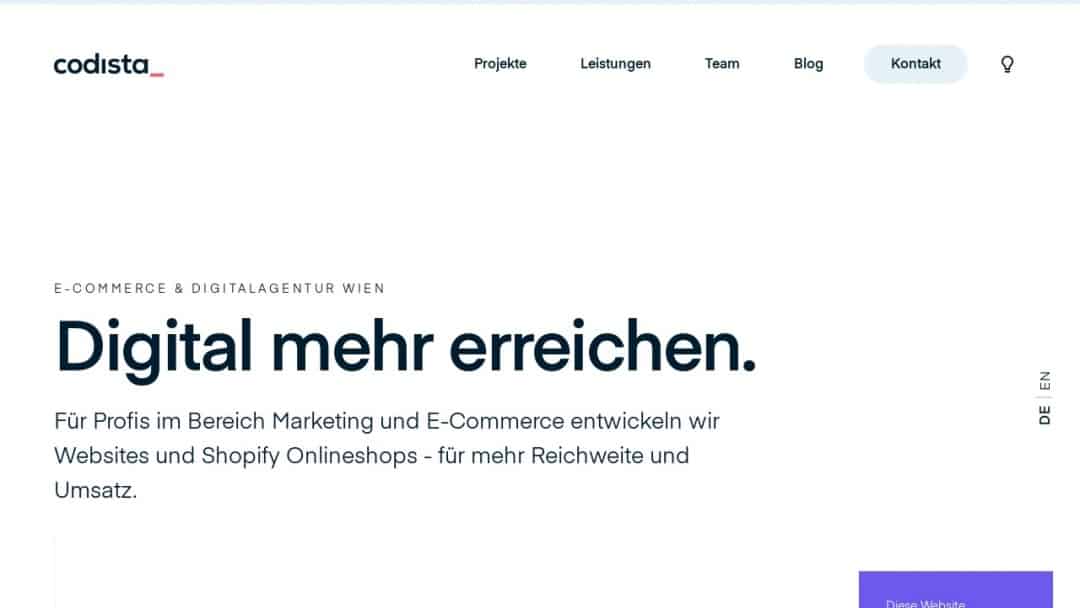 Screenshot of Codista's Website