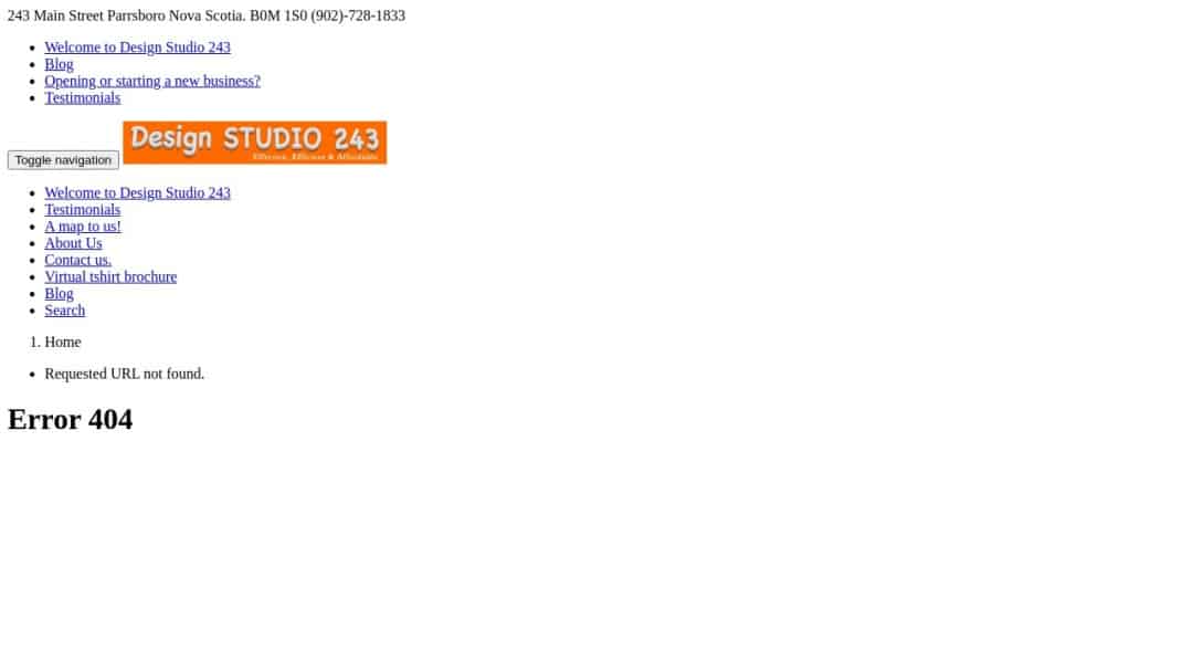 Screenshot of Design Studio 243's Website