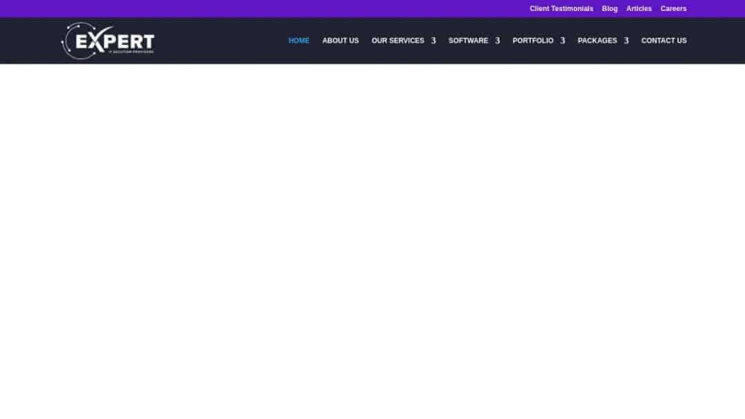 Screenshot of Expert Web Design Company's Website