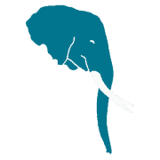 Aquatic Elephant Marketing - Award Winning Agency in 