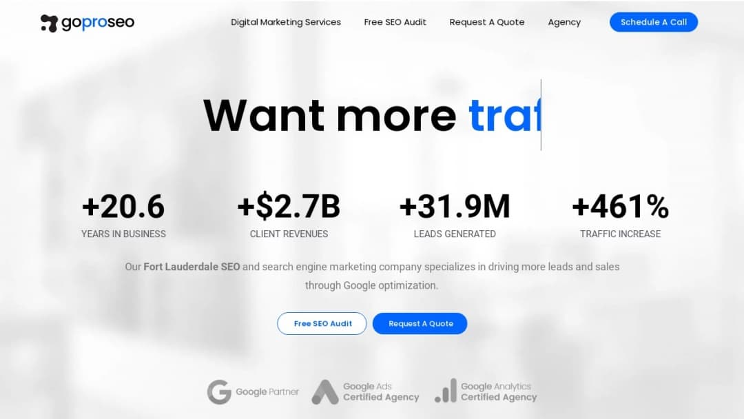 Screenshot of Go Pro SEO's Website