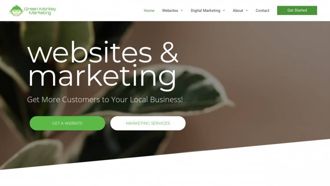 Screenshot of Green Monkey Marketing's Website