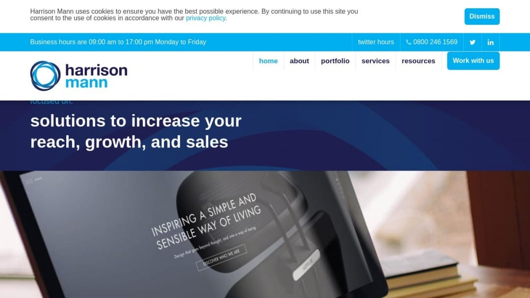 Screenshot of Harrison Mann's Website