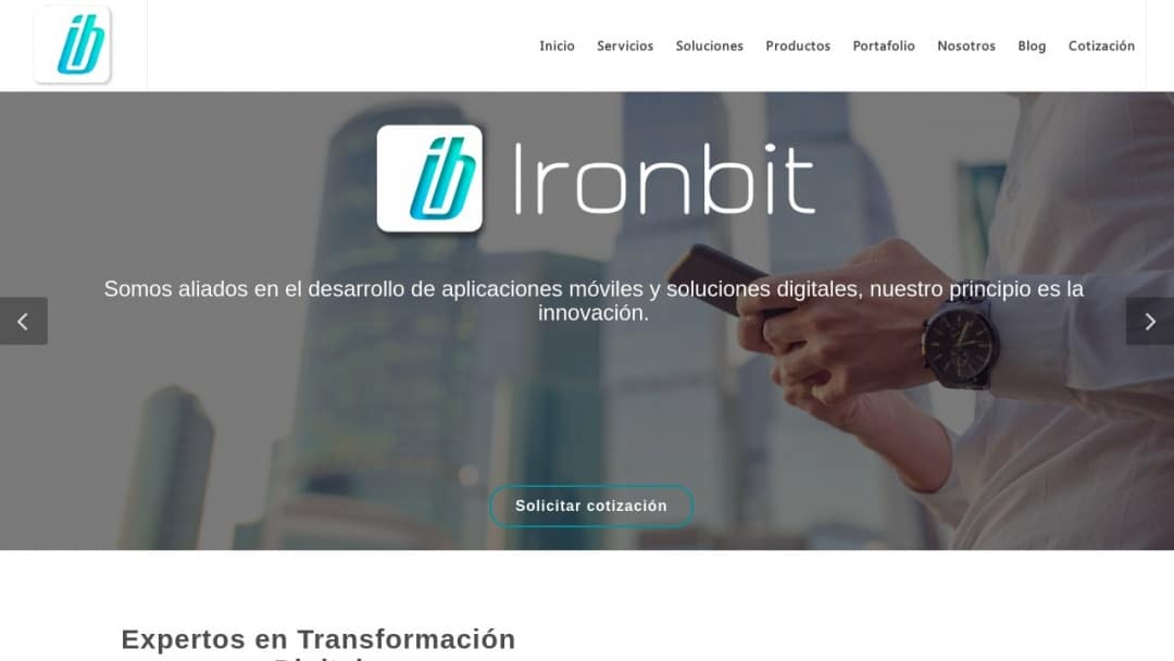 Screenshot of Ironbit's Website