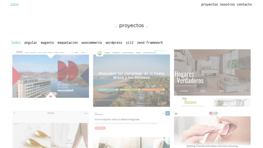 Screenshot of iuttu's Website