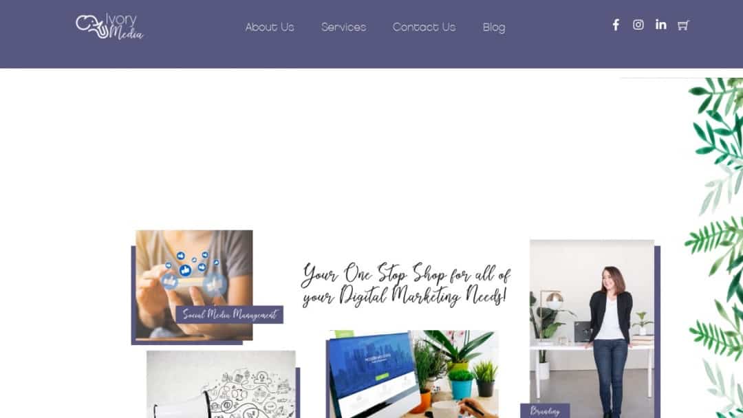 Screenshot of Ivory Media Solutions's Website