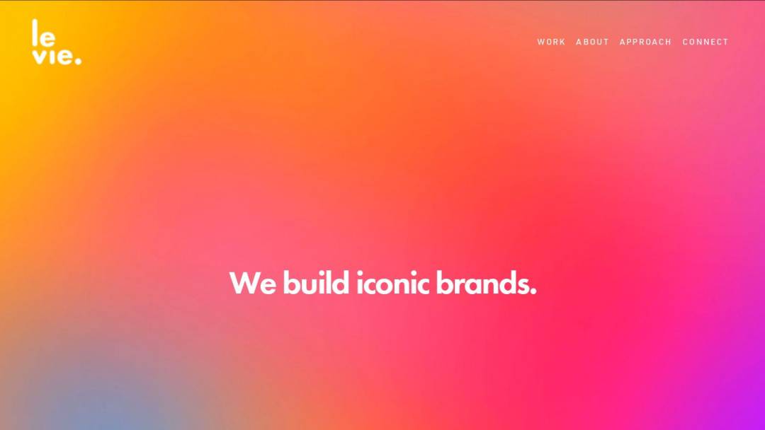 Screenshot of Levie Branding's Website