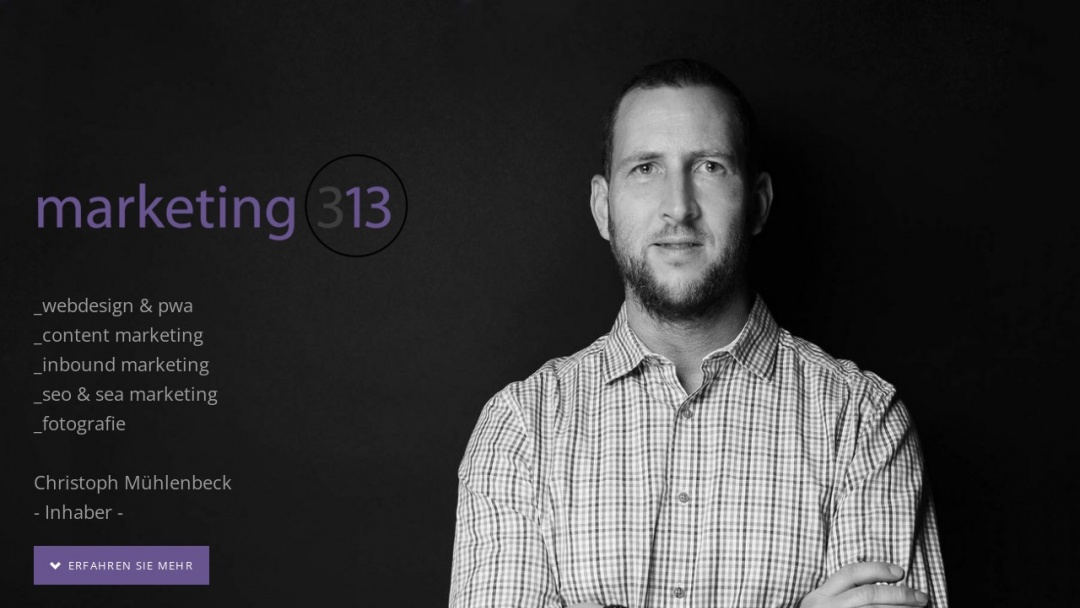 Screenshot of Marketing 313's Website