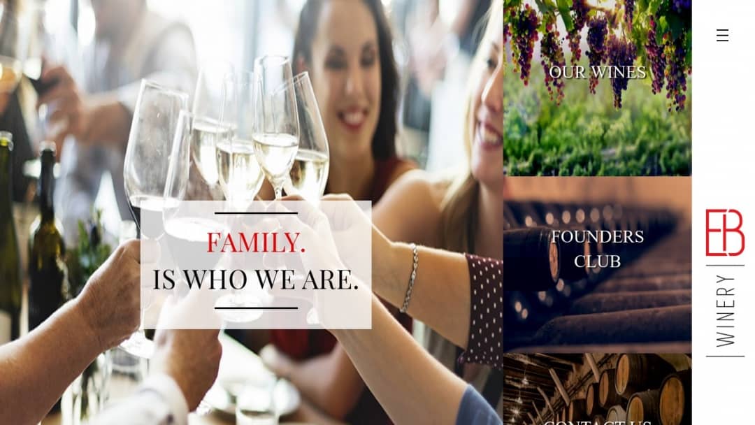 Screenshot of MOB Media, Inc.'s Website