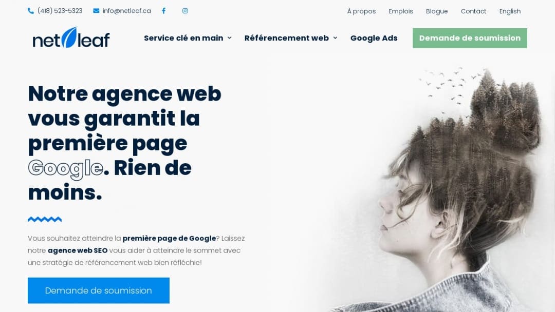Screenshot of Netleaf's Website