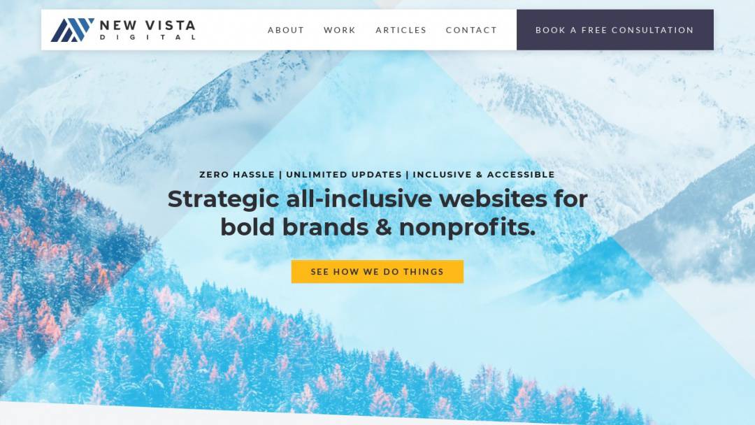 Screenshot of New Vista Digital's Website