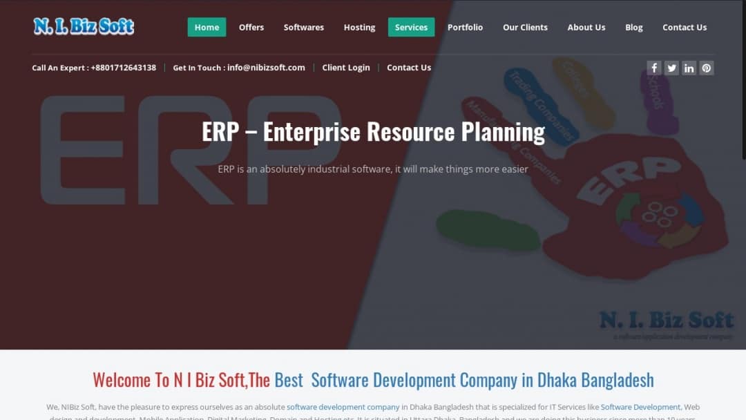 Screenshot of NIBiz Soft's Website