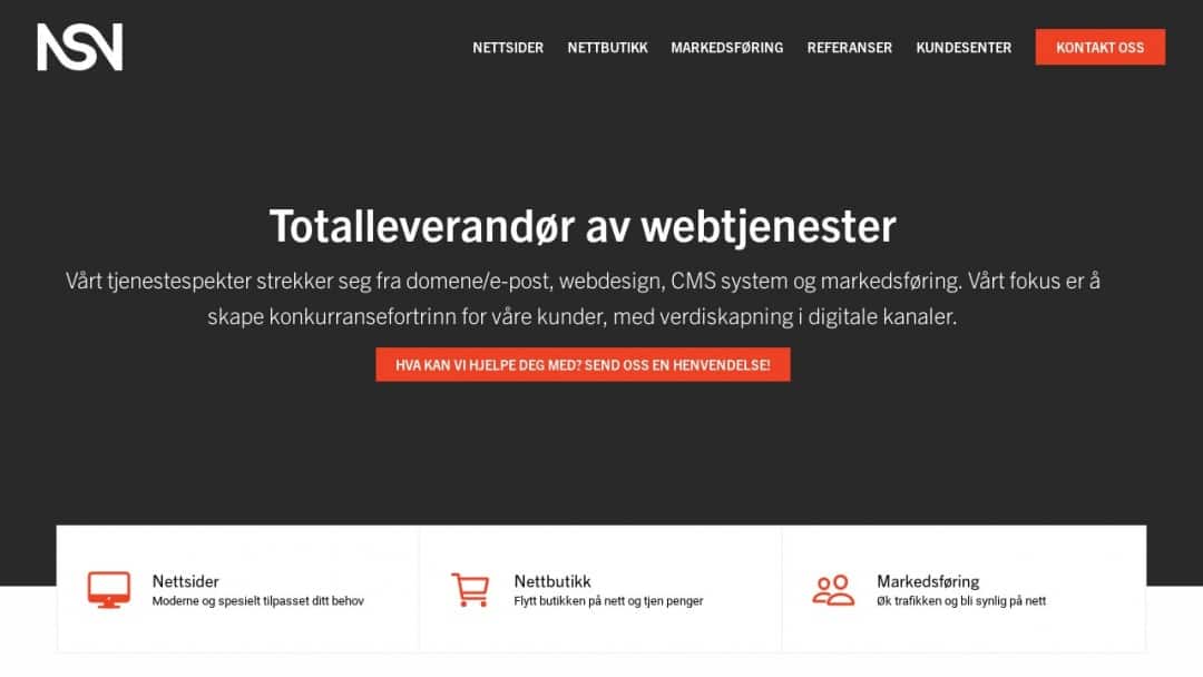 Screenshot of NSN AS's Website