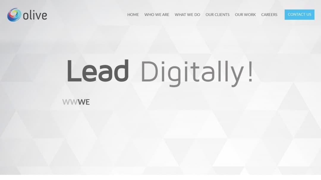 Screenshot of Olive e-Business Pvt. Ltd.'s Website