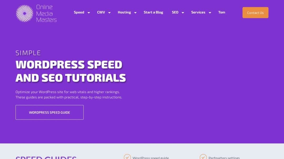 Screenshot of Online Media Masters's Website