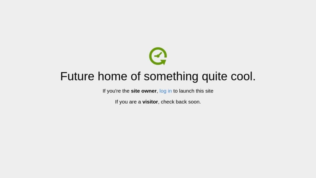 Screenshot of Orbidigital's Website