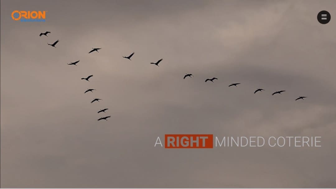 Screenshot of Orion eSolutions's Website