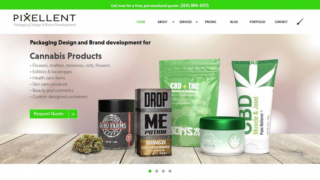 Screenshot of Pixellent Design's Website